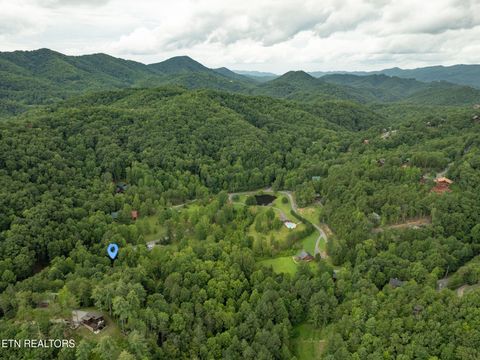 Tiny photo for 3905 Fern Brook Way Way, Sevierville, TN 37862 (MLS # 1340617)
