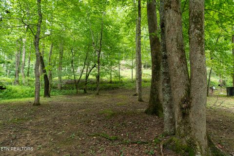 Tiny photo for 3905 Fern Brook Way Way, Sevierville, TN 37862 (MLS # 1340617)