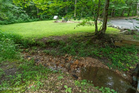Tiny photo for 3905 Fern Brook Way Way, Sevierville, TN 37862 (MLS # 1340617)