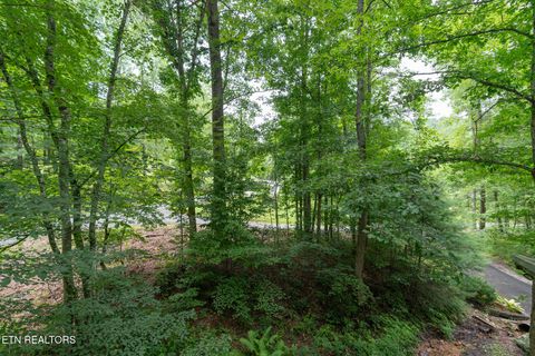 Tiny photo for 3905 Fern Brook Way Way, Sevierville, TN 37862 (MLS # 1340617)
