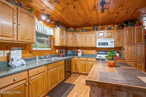 Tiny photo for 3905 Fern Brook Way Way, Sevierville, TN 37862 (MLS # 1340617)