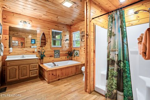Tiny photo for 3905 Fern Brook Way Way, Sevierville, TN 37862 (MLS # 1340617)