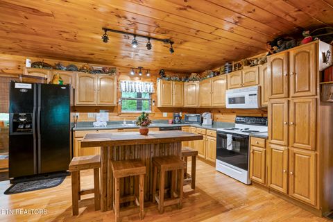 Tiny photo for 3905 Fern Brook Way Way, Sevierville, TN 37862 (MLS # 1340617)