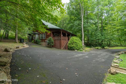 Tiny photo for 3905 Fern Brook Way Way, Sevierville, TN 37862 (MLS # 1340617)