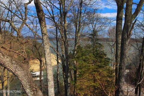 Tiny photo for 211 Sequoyah Tr, Rutledge, TN 37861 (MLS # 1332060)