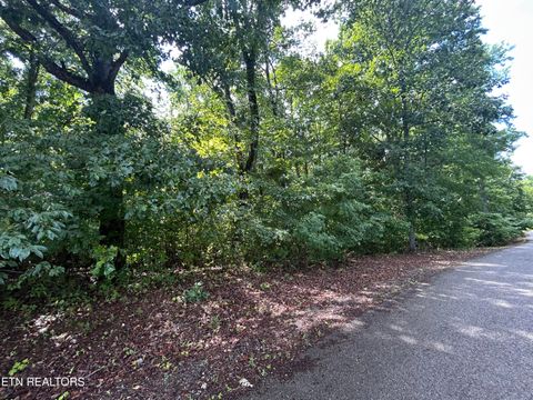 Tiny photo for Butterfly Cove Tr #Lot 92, Decatur, TN 37322 (MLS # 1347892)