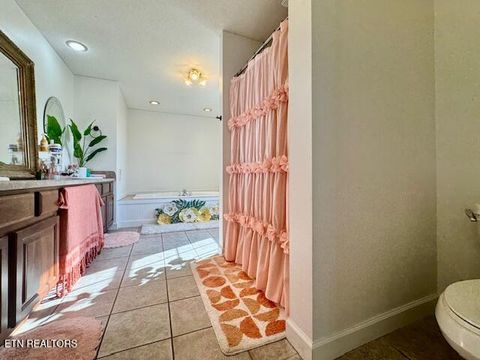 Tiny photo for 115 El Sara Drive, New Tazewell, TN 37825 (MLS # 1330968)