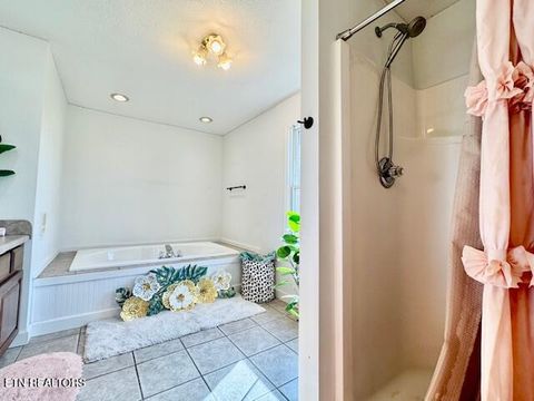 Tiny photo for 115 El Sara Drive, New Tazewell, TN 37825 (MLS # 1330968)