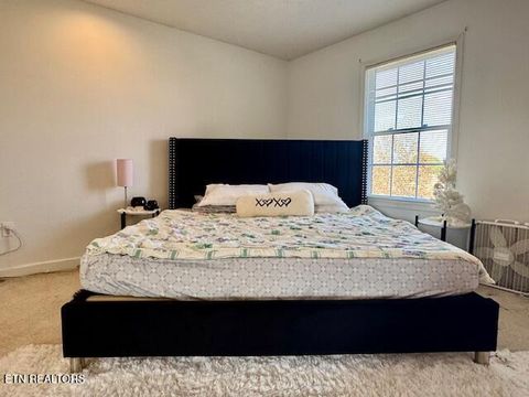 Tiny photo for 115 El Sara Drive, New Tazewell, TN 37825 (MLS # 1330968)