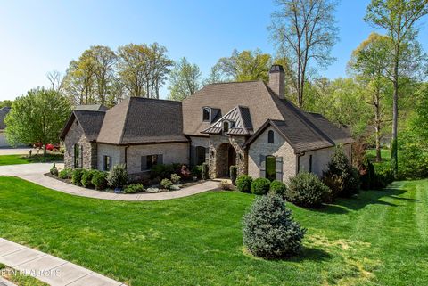 Photo of 301 Oak Chase Blvd, Lenoir City, TN 37772 (MLS # 1336427)