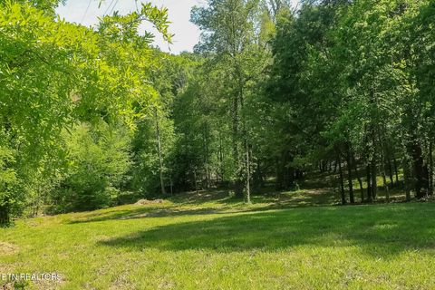 Tiny photo for 984 Deerwood Drive, Dandridge, TN 37725 (MLS # 1340080)