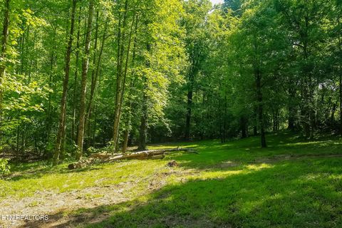 Tiny photo for 984 Deerwood Drive, Dandridge, TN 37725 (MLS # 1340080)