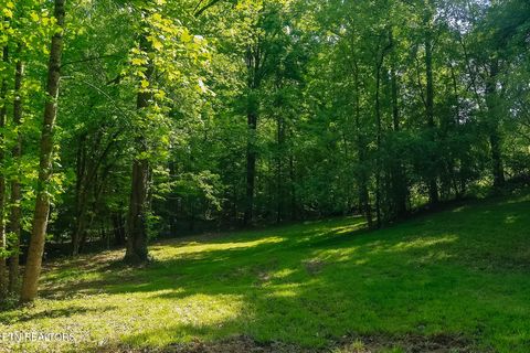 Tiny photo for 984 Deerwood Drive, Dandridge, TN 37725 (MLS # 1340080)