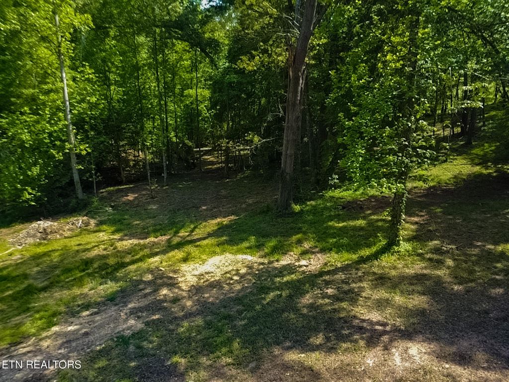 Photo of 984 Deerwood Drive, Dandridge, TN 37725 (MLS # 1340080)