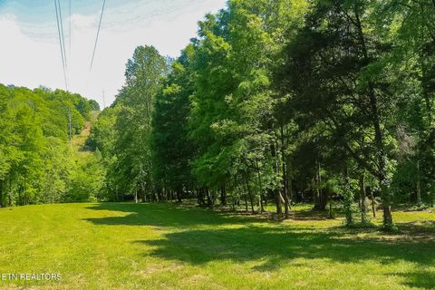 Tiny photo for 984 Deerwood Drive, Dandridge, TN 37725 (MLS # 1340080)