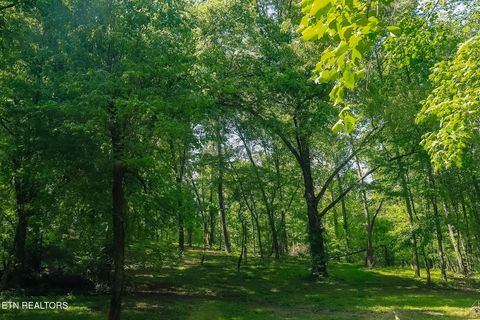 Tiny photo for 984 Deerwood Drive, Dandridge, TN 37725 (MLS # 1340080)
