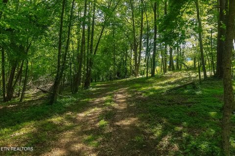 Tiny photo for 984 Deerwood Drive, Dandridge, TN 37725 (MLS # 1340080)
