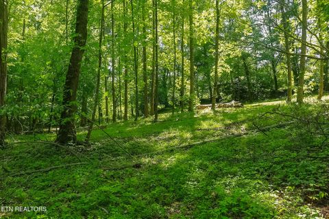 Tiny photo for 984 Deerwood Drive, Dandridge, TN 37725 (MLS # 1340080)