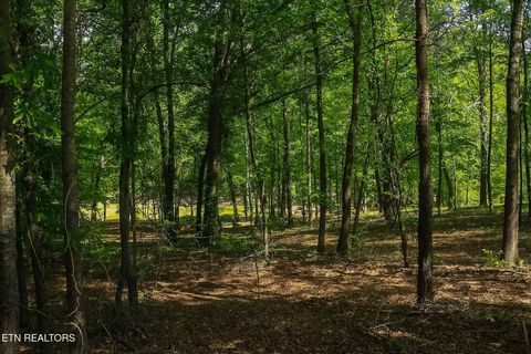 Tiny photo for 984 Deerwood Drive, Dandridge, TN 37725 (MLS # 1340080)