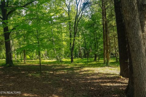 Tiny photo for 984 Deerwood Drive, Dandridge, TN 37725 (MLS # 1340080)