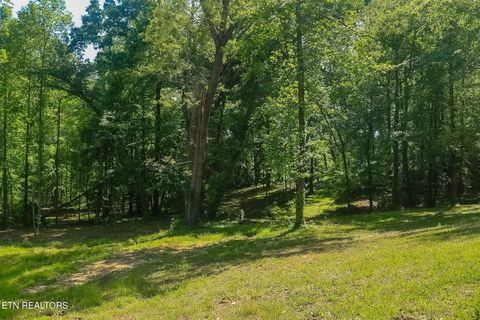 Tiny photo for 984 Deerwood Drive, Dandridge, TN 37725 (MLS # 1340080)