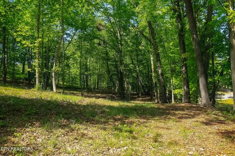 Tiny photo for 984 Deerwood Drive, Dandridge, TN 37725 (MLS # 1340080)