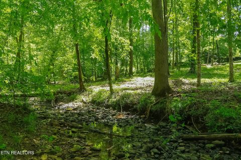 Tiny photo for 984 Deerwood Drive, Dandridge, TN 37725 (MLS # 1340080)