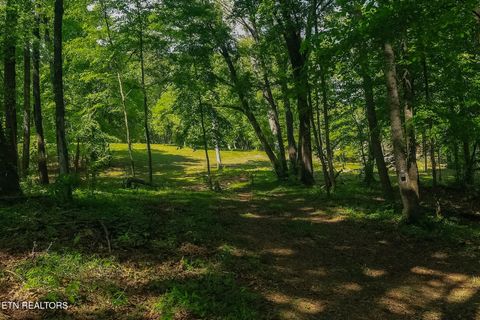Tiny photo for 984 Deerwood Drive, Dandridge, TN 37725 (MLS # 1340080)