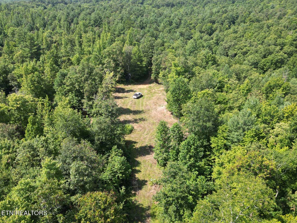 Photo of Sheep Ranch Rd, Robbins, TN 37852 (MLS # 1313252)
