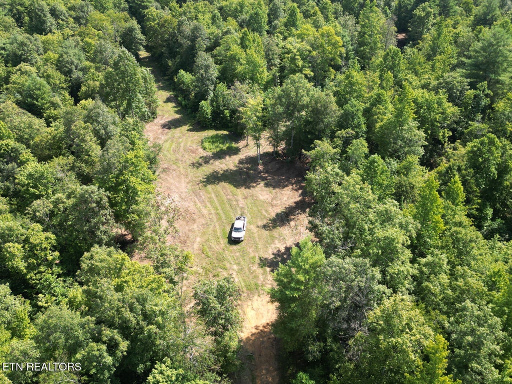 Photo of Sheep Ranch Rd, Robbins, TN 37852 (MLS # 1313252)