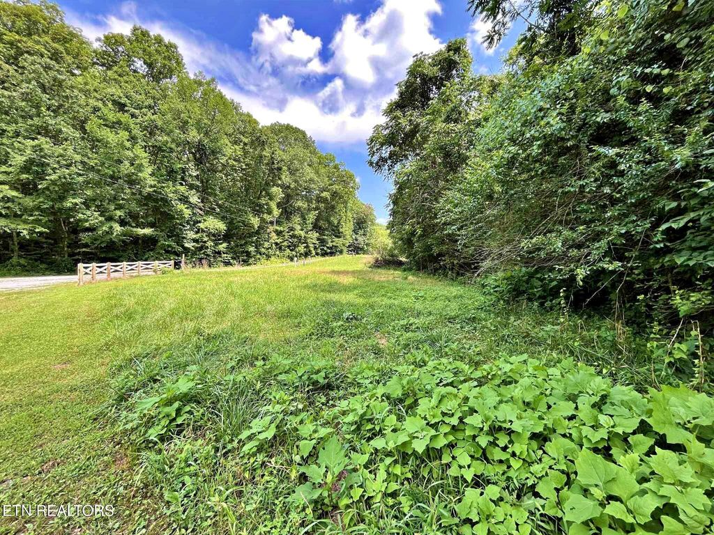 Photo of 7 Raby Hollow Road, Kingston, TN 37763 (MLS # 1307497)