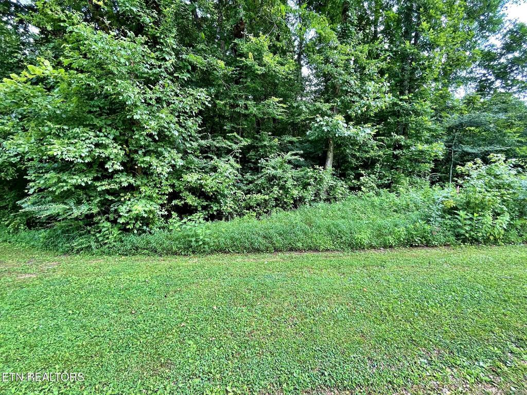 Photo of 7 Raby Hollow Road, Kingston, TN 37763 (MLS # 1307497)