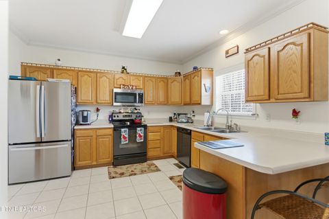 Tiny photo for 267 far view Circle, Jacksboro, TN 37757 (MLS # 1324651)