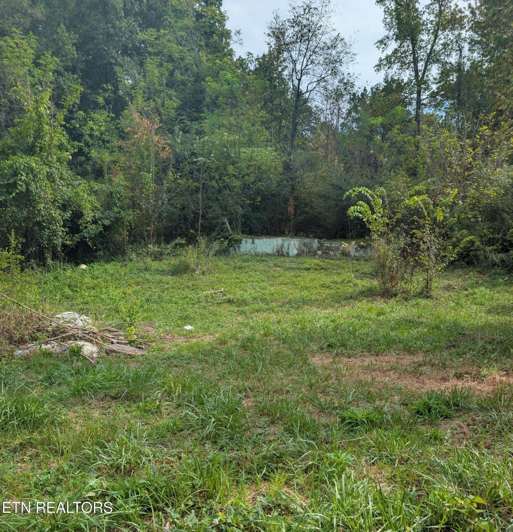 Photo of 23 Martin Lane, Middlesboro, KY 40965 (MLS # 1355171)