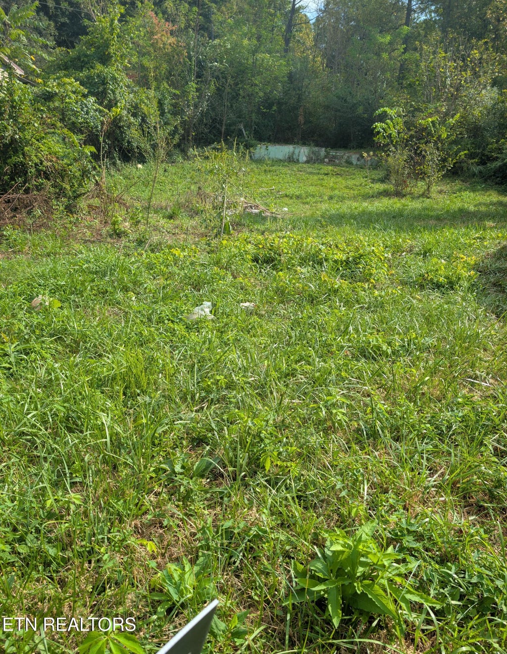 Photo of 23 Martin Lane, Middlesboro, KY 40965 (MLS # 1355171)