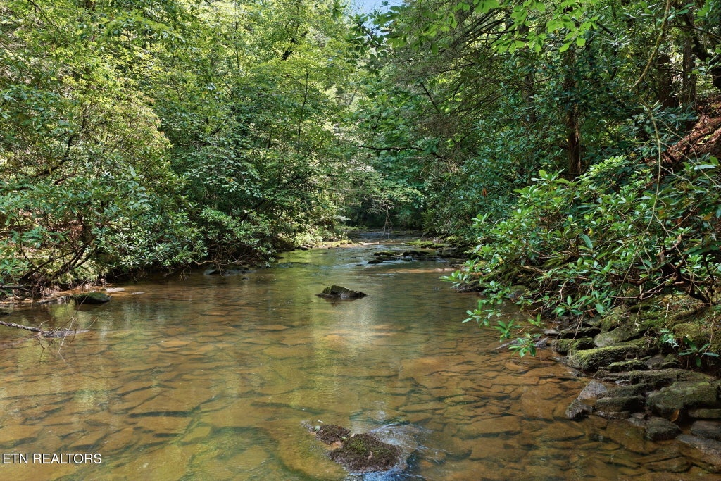 Photo of Twin Bridge Rd, Deer Lodge, TN 37726 (MLS # 1351674)