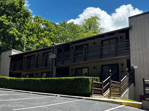 Photo of 1081 Cove Rd #APT 512, Sevierville, TN 37876 (MLS # 1345216)
