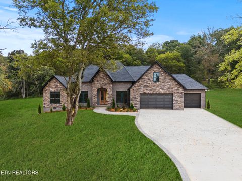 834 Sophie Drive Greenback TN 37742