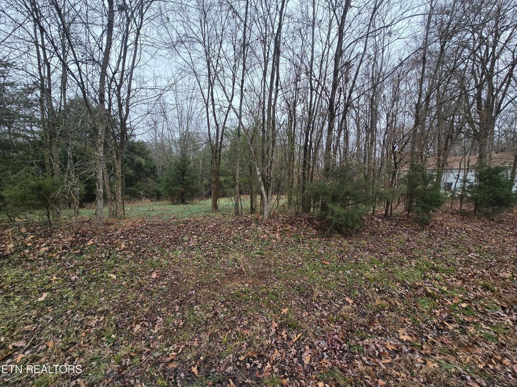 Photo of 112 Unole Tr, Vonore, TN 37885 (MLS # 1288713)