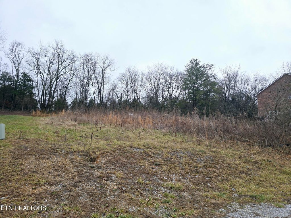 Photo of 112 Unole Tr, Vonore, TN 37885 (MLS # 1288713)