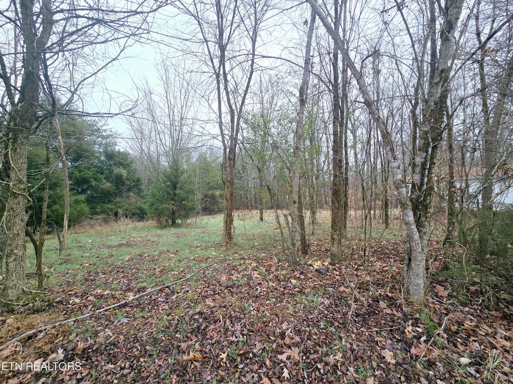 Photo of 112 Unole Tr, Vonore, TN 37885 (MLS # 1288713)