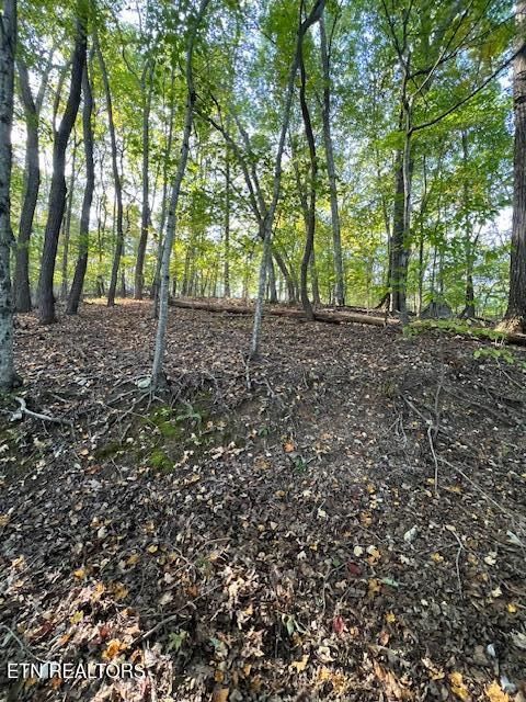 Laguna Vista Drive Caryville TN 37714