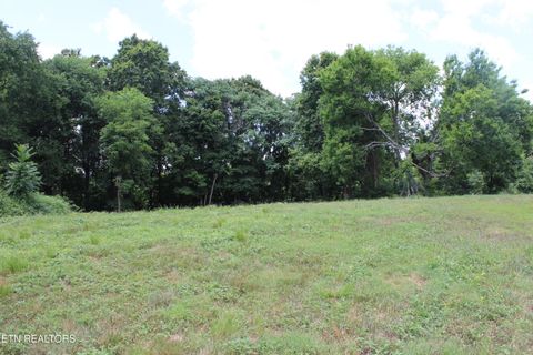 Tiny photo for 0 Orabella Rd, Knoxville, TN 37921 (MLS # 1308917)