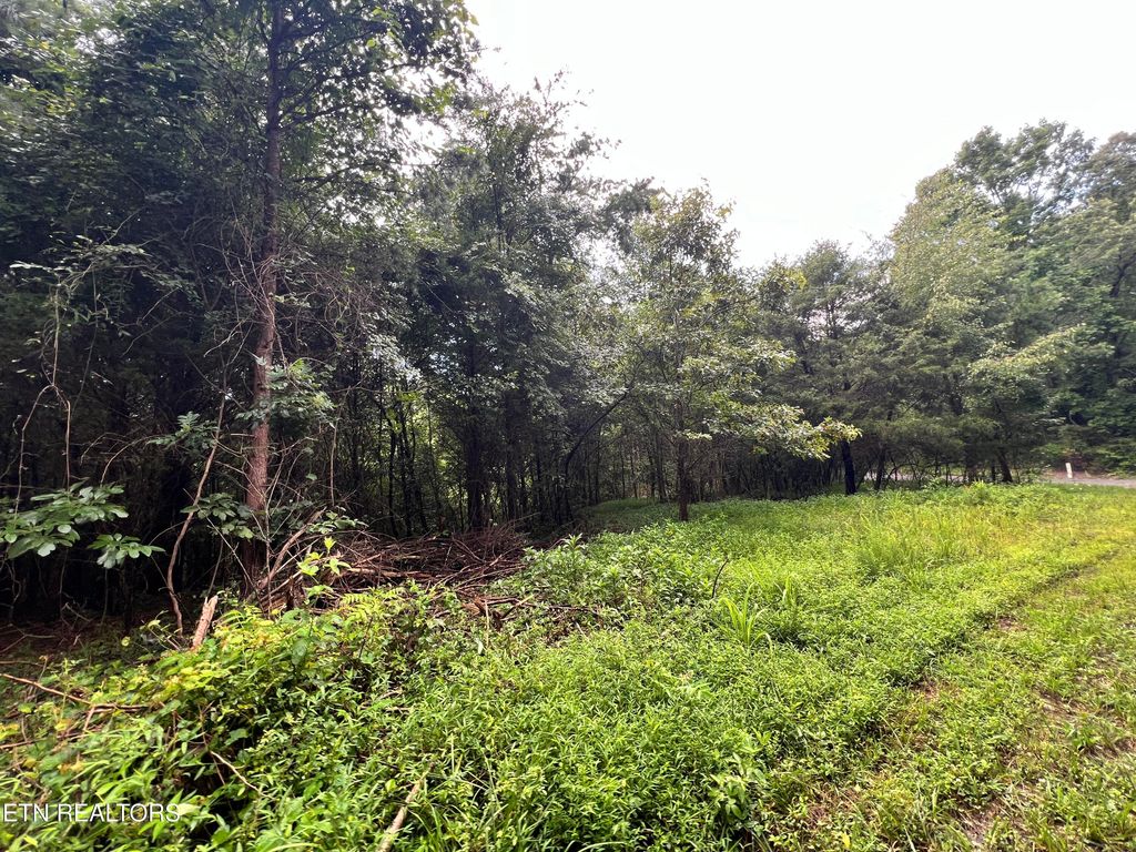 Photo of Lot 1 Prigmore Ridge Rd, Decatur, TN 37322 (MLS # 1310637)