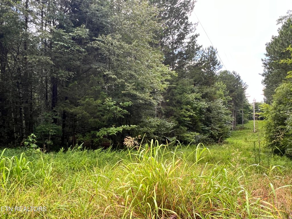 Photo of Lot 1 Prigmore Ridge Rd, Decatur, TN 37322 (MLS # 1310637)
