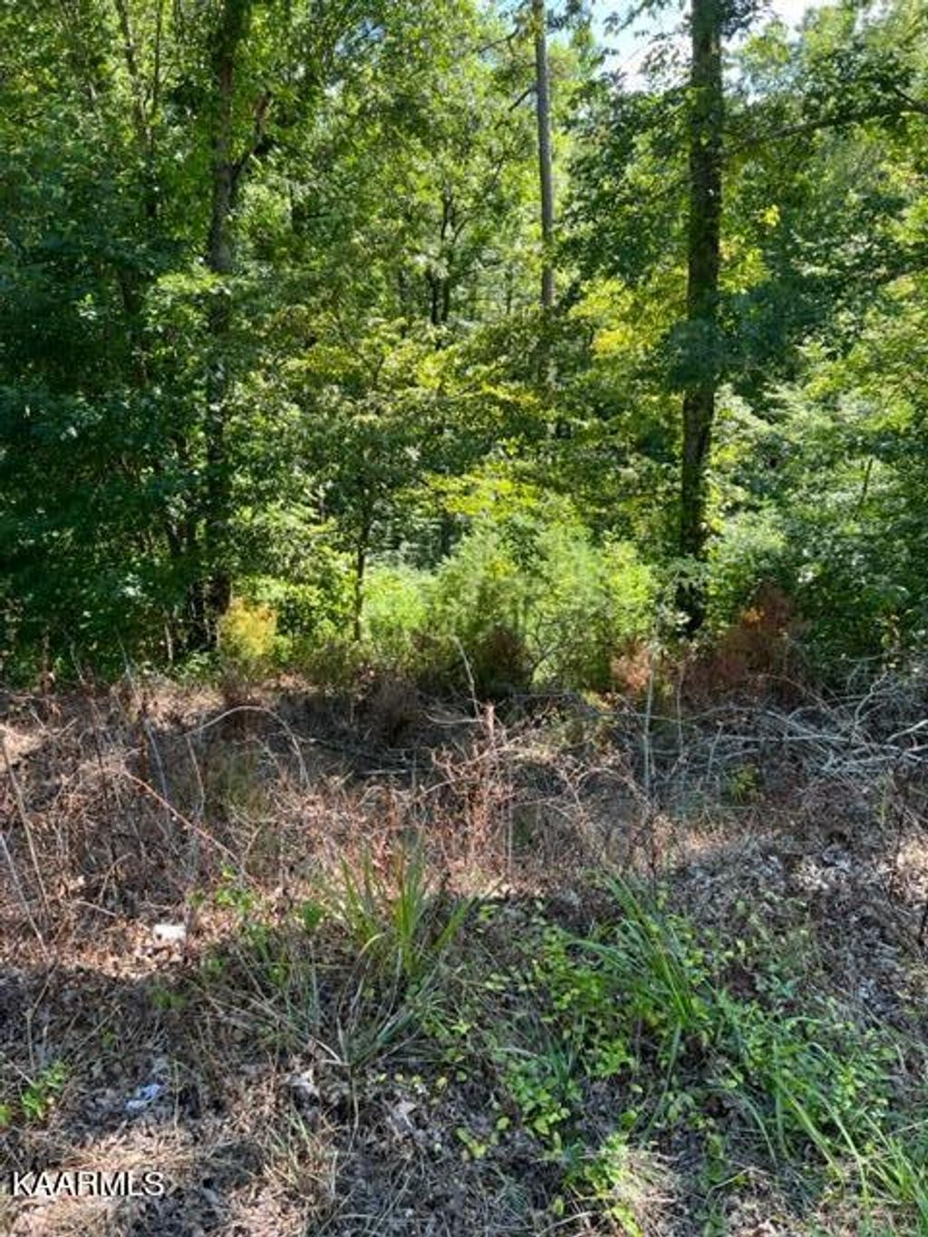 Photo of 0 Harmon Rd, New Tazewell, TN 37825 (MLS # 1236774)