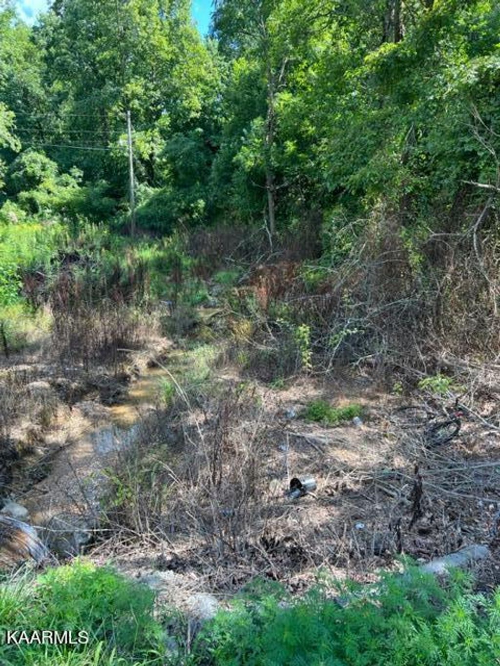 Photo of 0 Harmon Rd, New Tazewell, TN 37825 (MLS # 1236774)