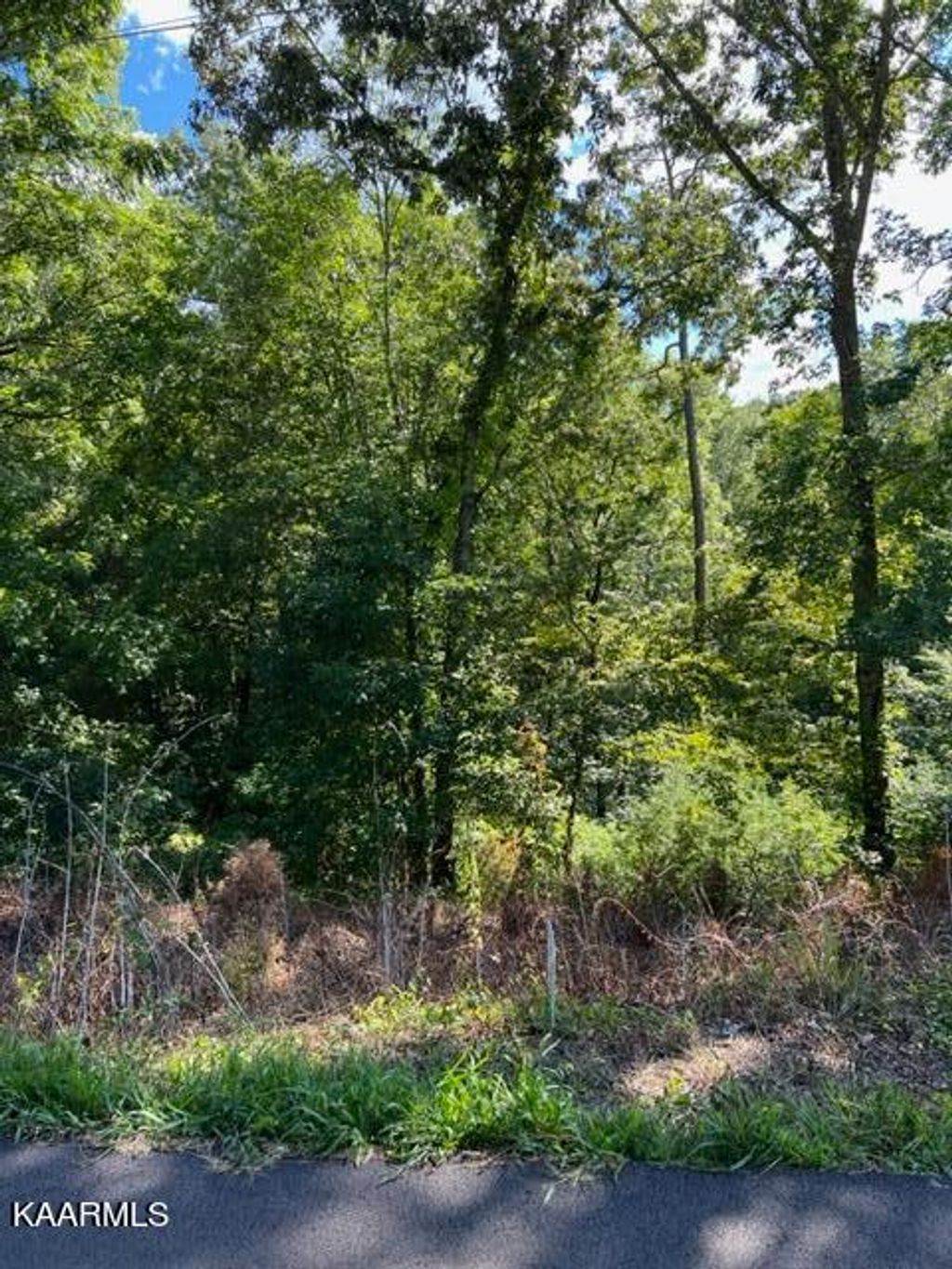Photo of 0 Harmon Rd, New Tazewell, TN 37825 (MLS # 1236774)
