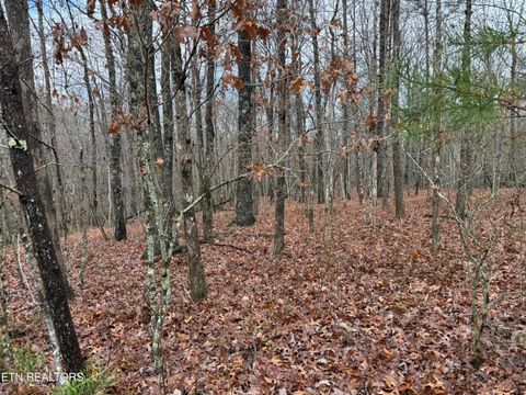 Photo of Icy Cove Tr, Monterey, TN 38574 (MLS # 1337403)