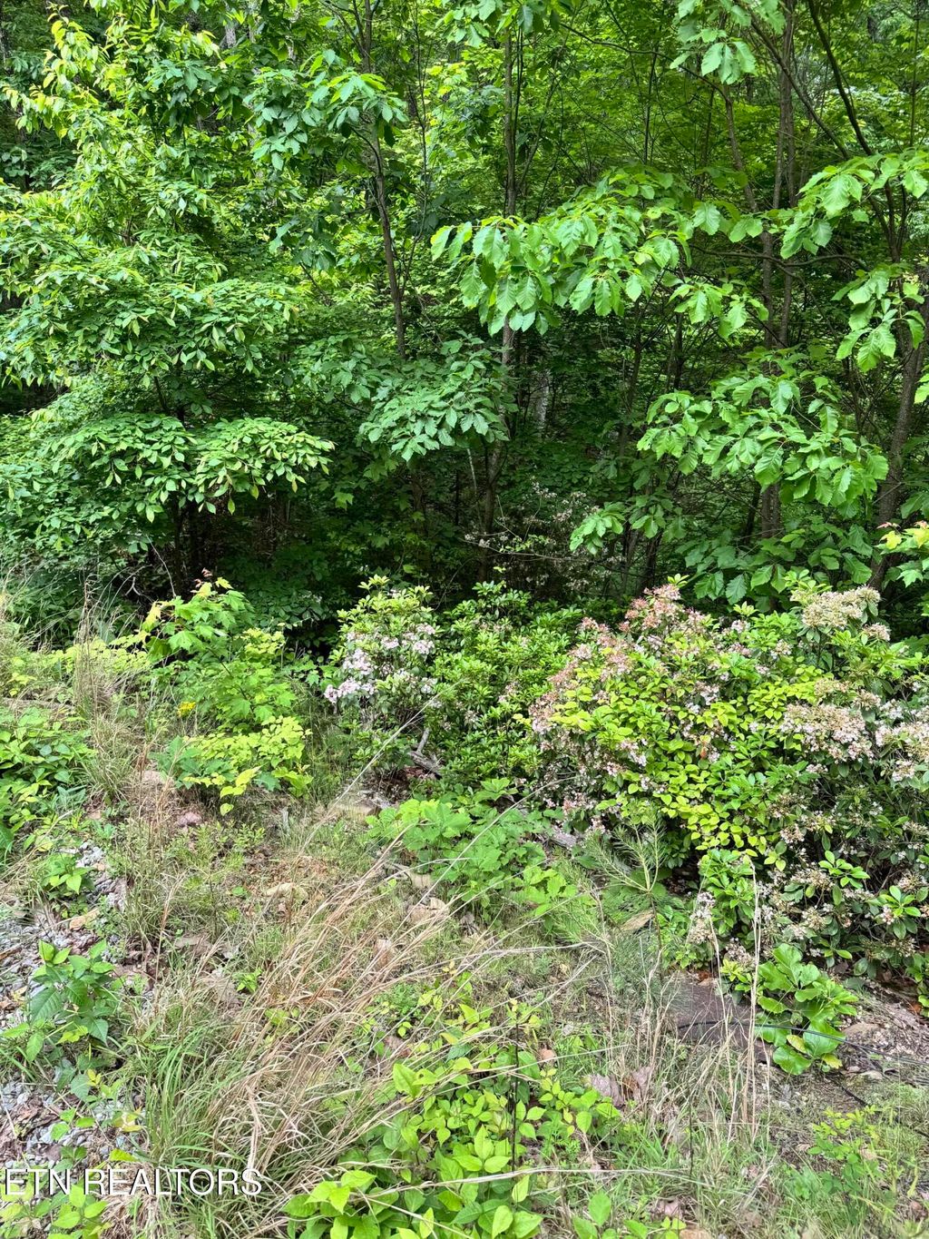 Photo of Goose Creek Rd #Lot 1, Seymour, TN 37865 (MLS # 1333877)